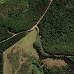 Satellite imagery of One Tree Ridge, NZ