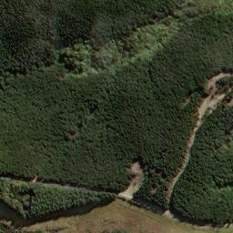 Satellite imagery of One Tree Ridge, NZ