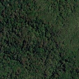 Satellite imagery of Black Point, NZ