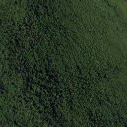 Satellite imagery of Pack Point, NZ