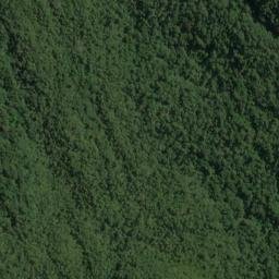 Satellite imagery of Pack Point, NZ