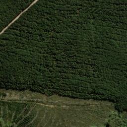 Satellite imagery of One Tree Ridge, NZ