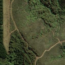 Satellite imagery of One Tree Ridge, NZ