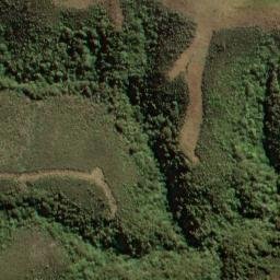 Satellite imagery of One Tree Ridge, NZ