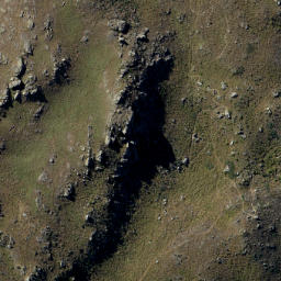 Satellite imagery of Doctors Point, NZ