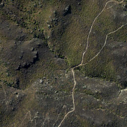 Satellite imagery of Doctors Point, NZ