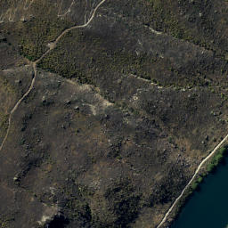 Satellite imagery of Doctors Point, NZ