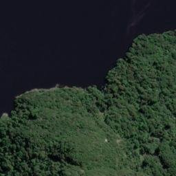 Satellite imagery of Rogers Point, NZ