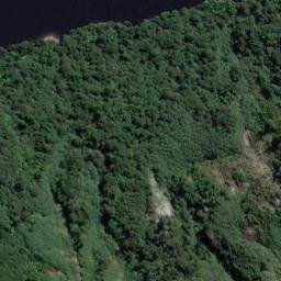 Satellite imagery of Rogers Point, NZ