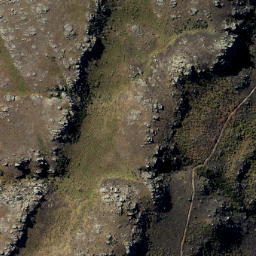 Satellite imagery of Doctors Point, NZ