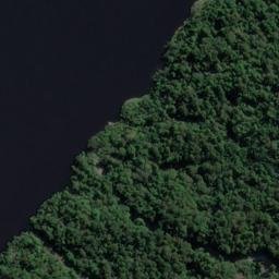 Satellite imagery of Rogers Point, NZ