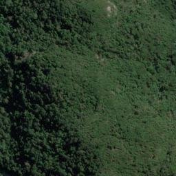Satellite imagery of Rogers Point, NZ