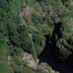Satellite imagery of Rogers Point, NZ