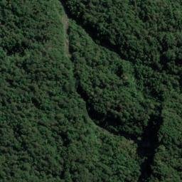 Satellite imagery of Rogers Point, NZ