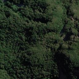 Satellite imagery of Rogers Point, NZ