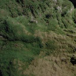 Satellite imagery of Rogers Point, NZ