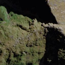 Satellite imagery of Joseph Point, NZ
