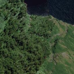 Satellite imagery of Wood Head, NZ