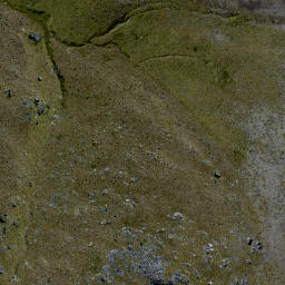 Satellite imagery of Black Rocks, NZ