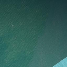 Satellite imagery of Punatoetoe Head, NZ