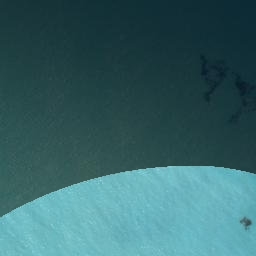 Satellite imagery of Punatoetoe Head, NZ