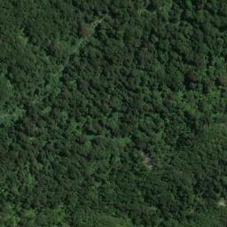 Satellite imagery of Ranson Head, NZ