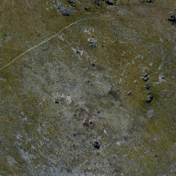 Satellite imagery of Black Rocks, NZ