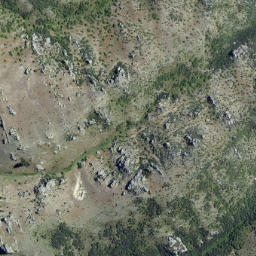 Satellite imagery of Long Point, NZ