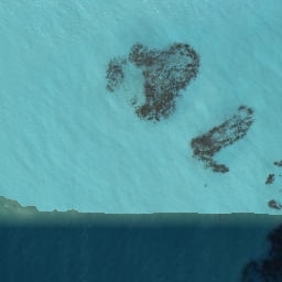 Satellite imagery of Punatoetoe Head, NZ