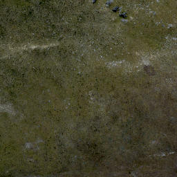 Satellite imagery of Black Rocks, NZ