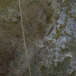 Satellite imagery of Black Rocks, NZ