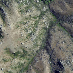 Satellite imagery of Long Point, NZ