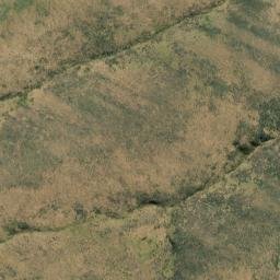 Satellite imagery of Razorback, NZ
