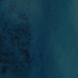 Satellite imagery of Moeraki Point, NZ