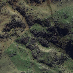 Satellite imagery of Miners monument, NZ