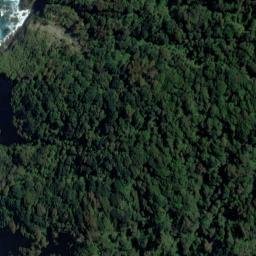Satellite imagery of Castoff Point, NZ
