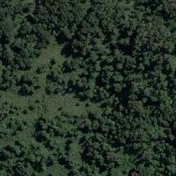 Satellite imagery of Punta Cola, CL