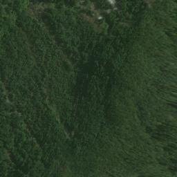 Satellite imagery of Brig Point, NZ