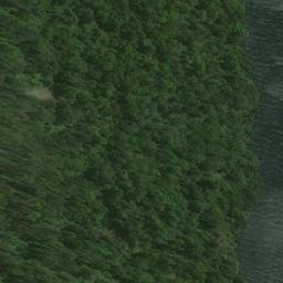 Satellite imagery of Brig Point, NZ