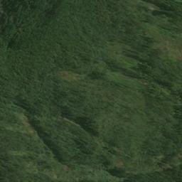 Satellite imagery of Brig Point, NZ