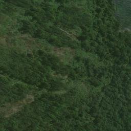 Satellite imagery of Brig Point, NZ