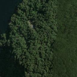 Satellite imagery of Archer Point, NZ