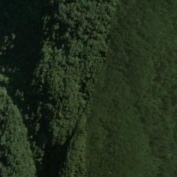 Satellite imagery of Archer Point, NZ