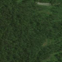 Satellite imagery of Archer Point, NZ