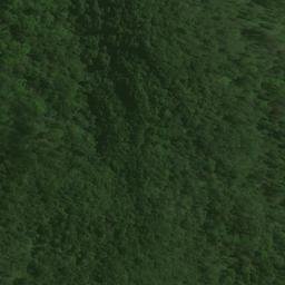 Satellite imagery of Brasell Point, NZ