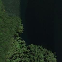 Satellite imagery of Brasell Point, NZ