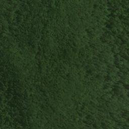 Satellite imagery of Brasell Point, NZ