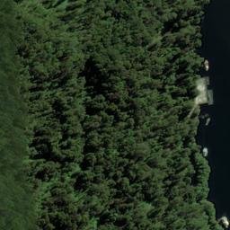 Satellite imagery of Brasell Point, NZ
