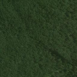 Satellite imagery of Brasell Point, NZ