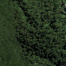 Satellite imagery of Brasell Point, NZ